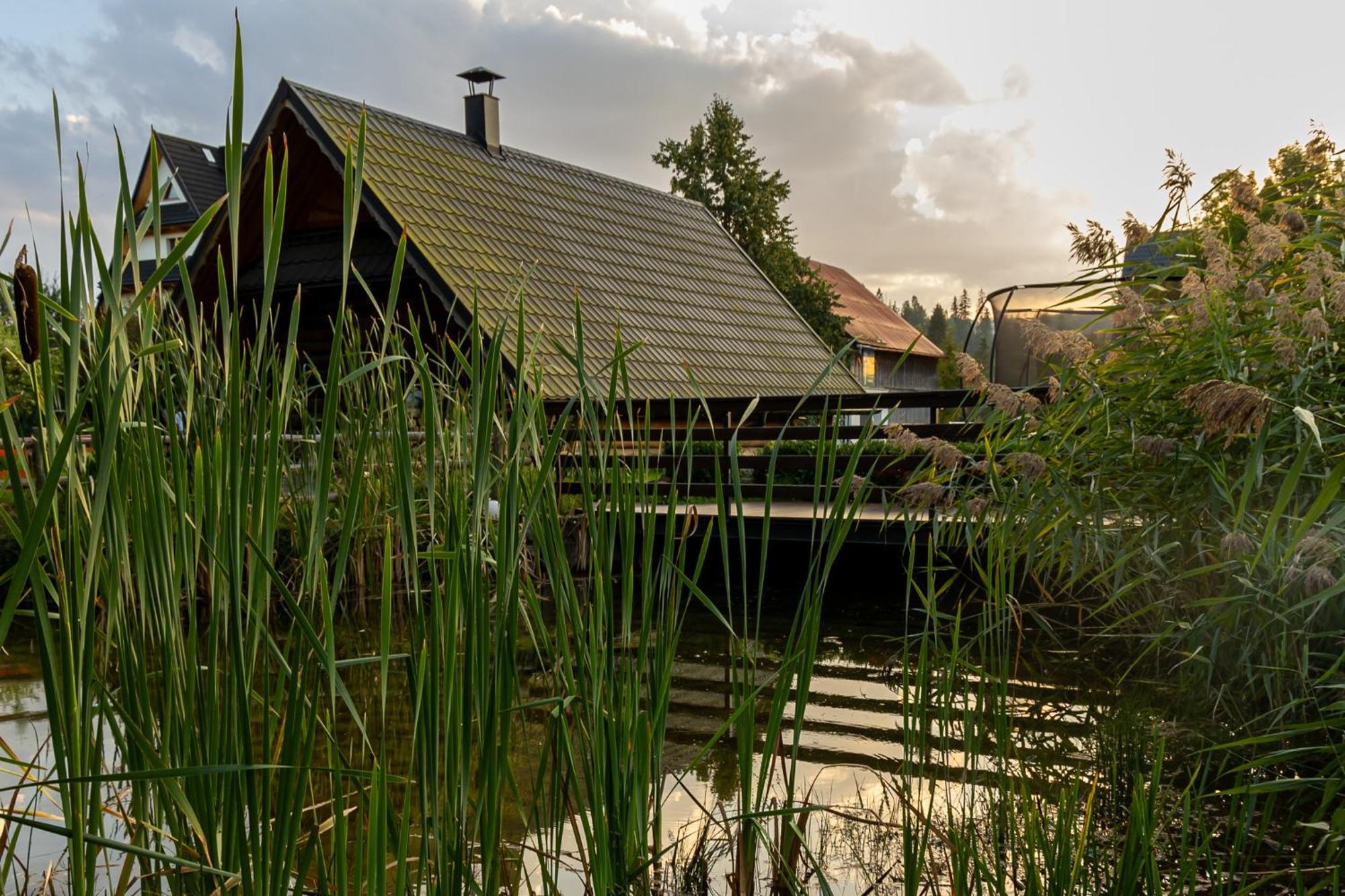 Willa Pod Kozincem Czarna Gora Bagian luar foto